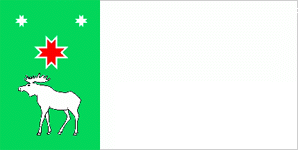 флаг краснознаменского района